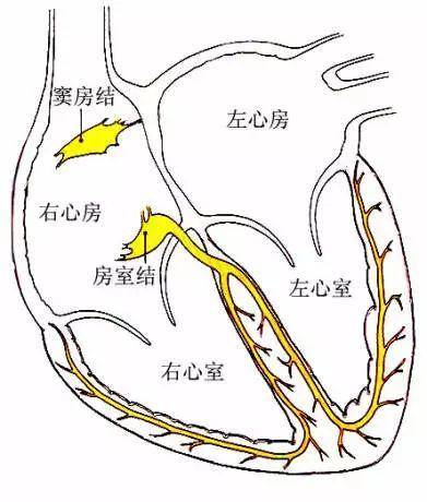四川友谊医院