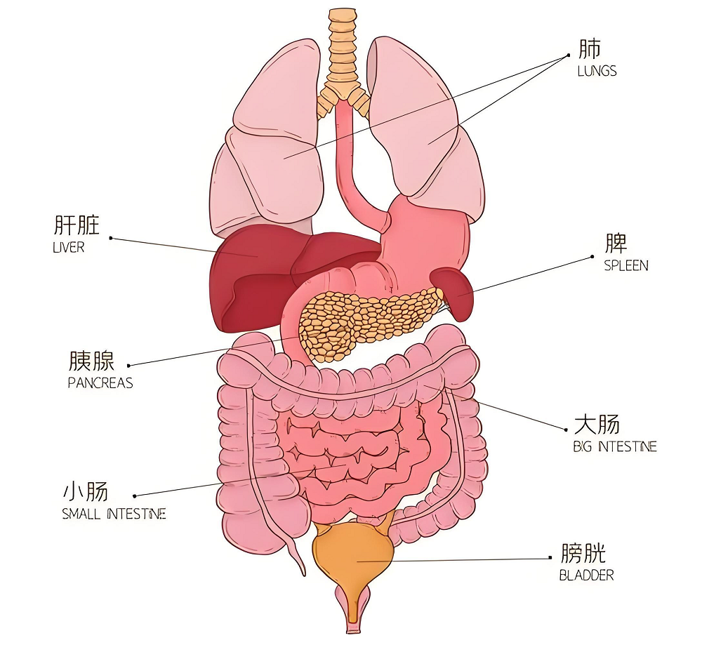 “癌中之王”发现多是晚期，有这个习惯的赶紧改